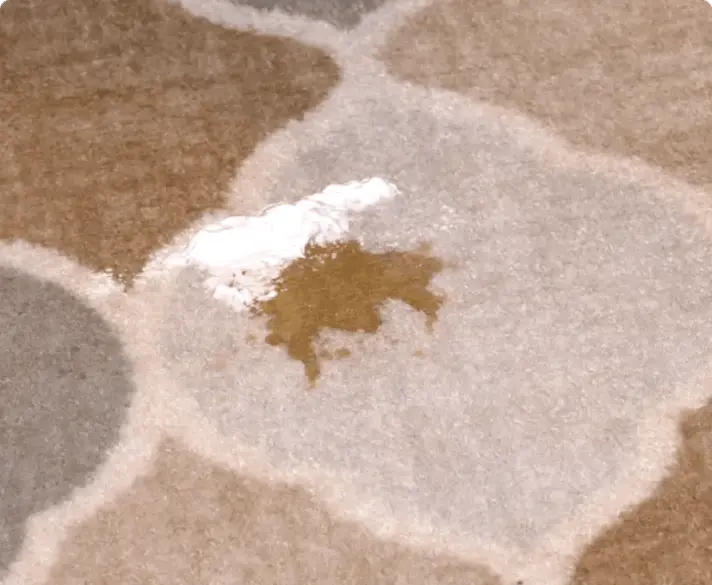 Horsepower BullShot customer review Rachel H.